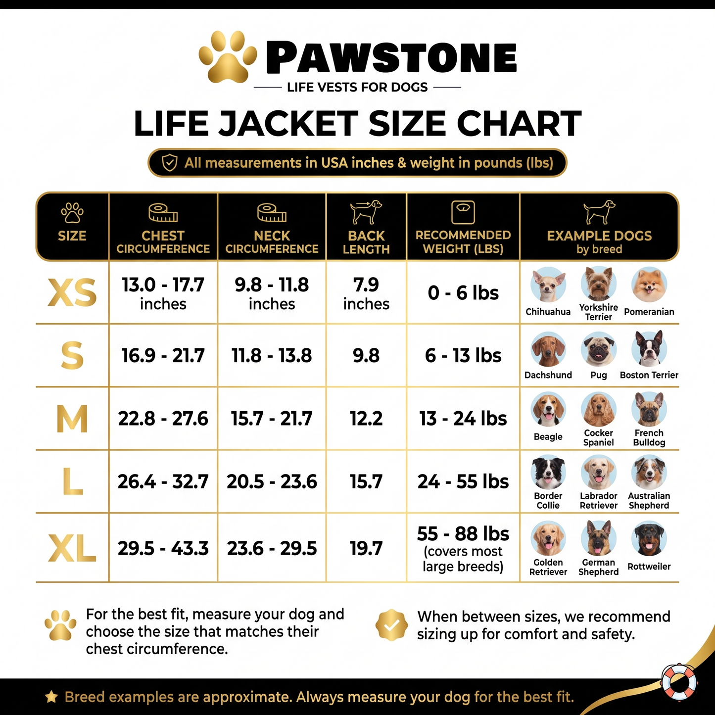ChinLift Swim Vest — Dog Life Jacket with Head & Chin Support