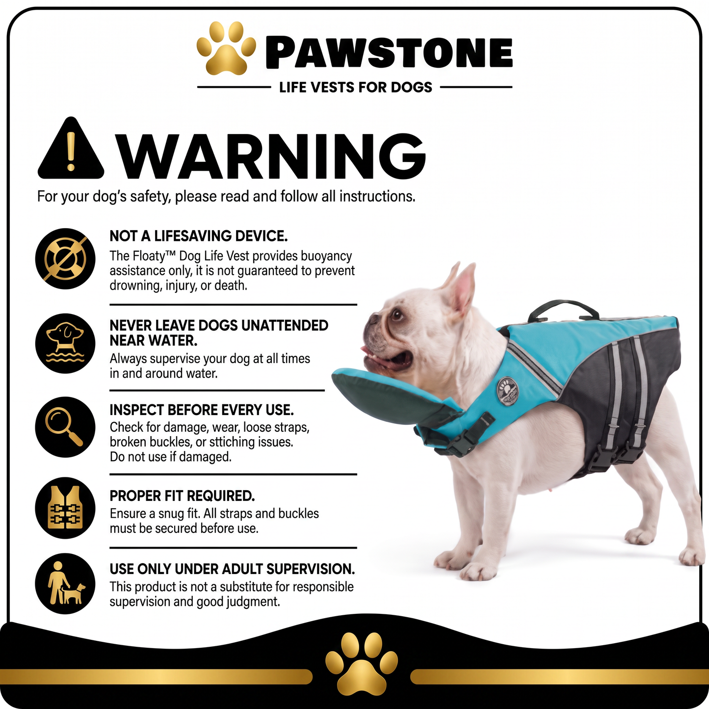 ChinLift Swim Vest — Dog Life Jacket with Head & Chin Support