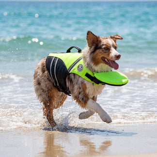 ChinLift Swim Vest — Dog Life Jacket with Head & Chin Support